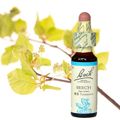 3:ビーチ(グリセリン)