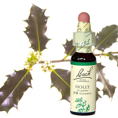 15:ホリー(グリセリン)