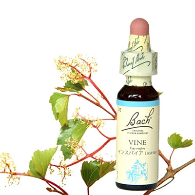 32:バイン(グリセリン)