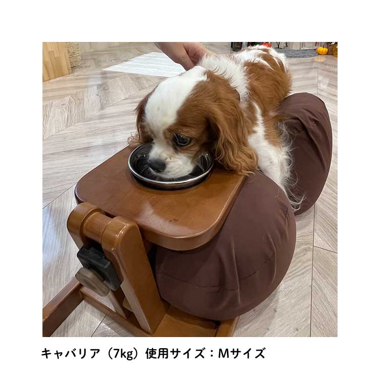 食器スタンド(ステンレス皿付)◆