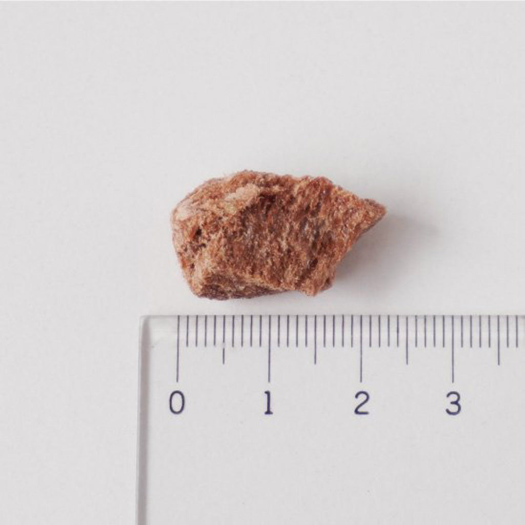 《愛猫用》牛肉フリーズドライ 国産 無添加 30g