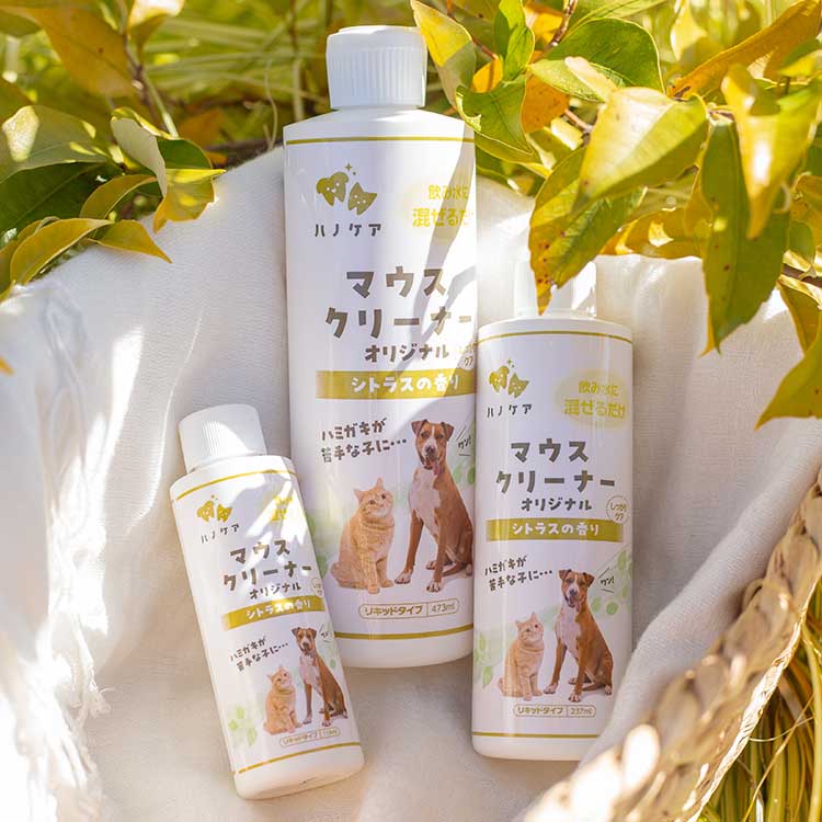 ハノケア マウスクリーナー オリジナル シトラスの香り 237ml×6本セット 楽天市場】KPS ハノケア マウスクリーナー オリジナル