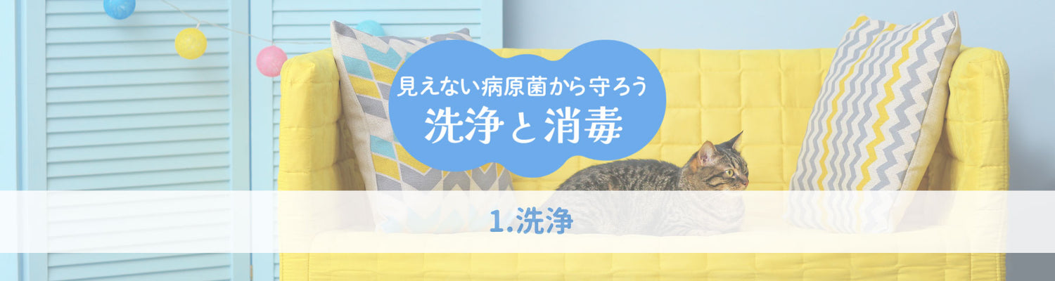 清掃の２大要素「洗浄」