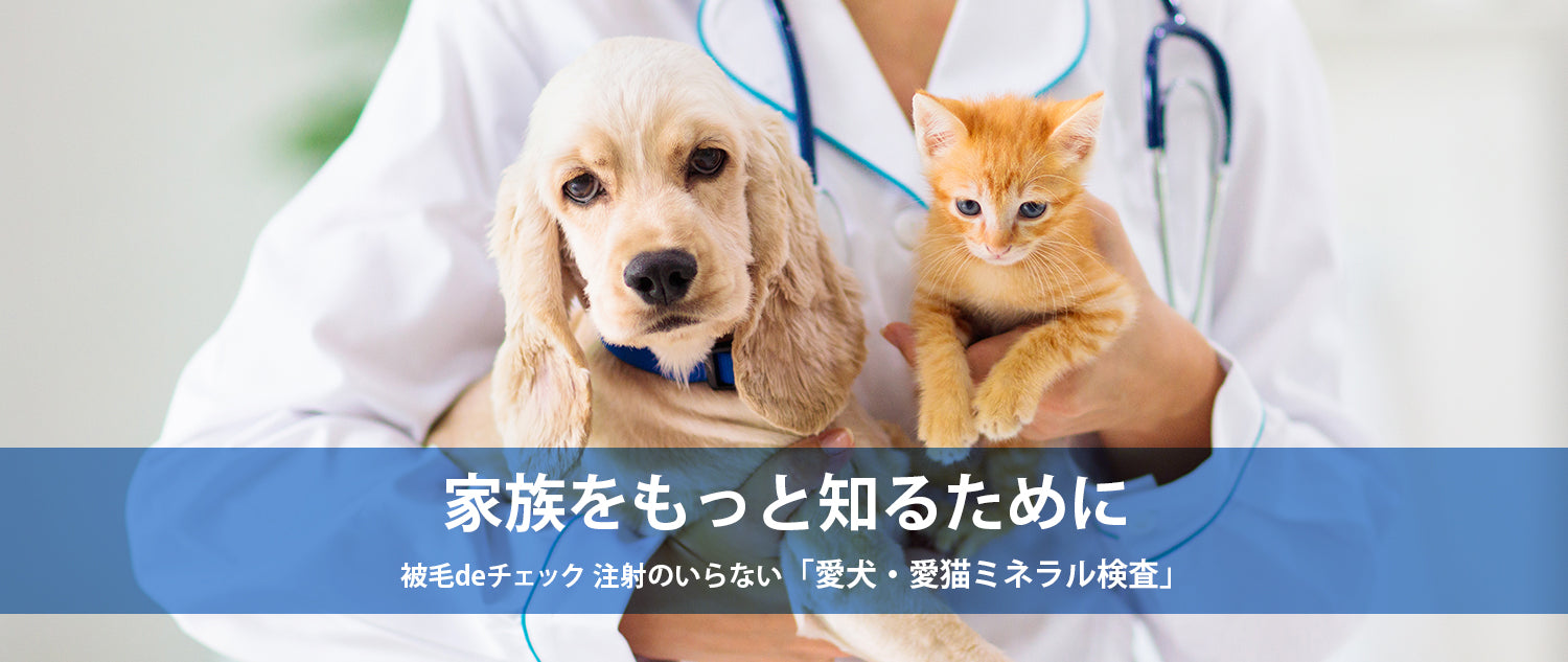 愛犬・愛猫 ミネラル検査